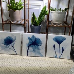 Set of 3 canvas floral set